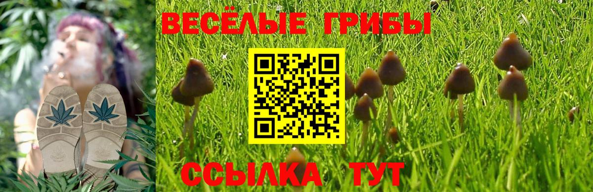 Псилоцибиновые грибы Psilocybe  Псилоцибиновые грибы MAGIC MUSHROOMS  купить наркоту  Вход с VPN  Елабуга 