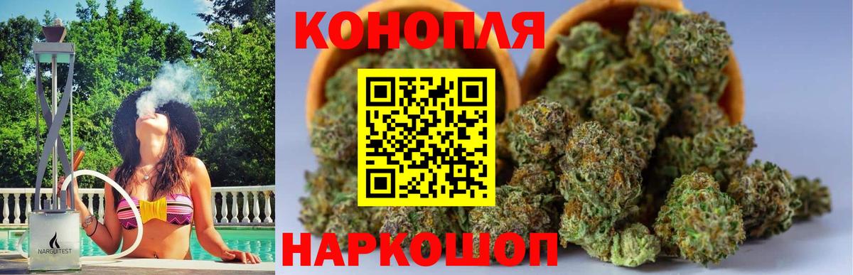 Каннабис MAZAR Елабуга